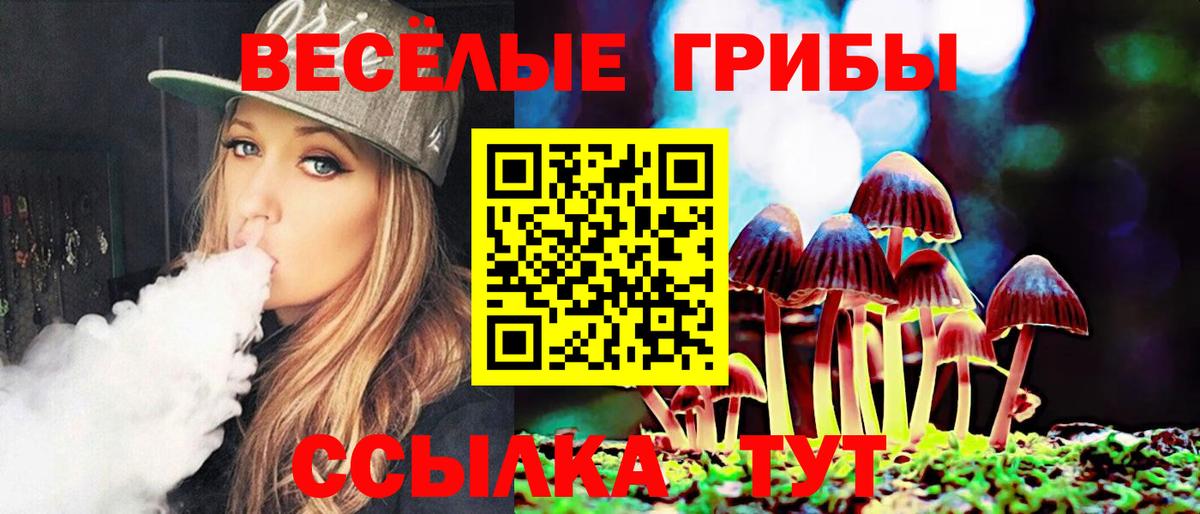 Елец  Галлюциногенные грибы Magic Shrooms  Вход с VPN  что такое   Галлюциногенные грибы Psilocybe 